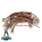 Dây bus 2P 1.25MM 30CM 2 đầu